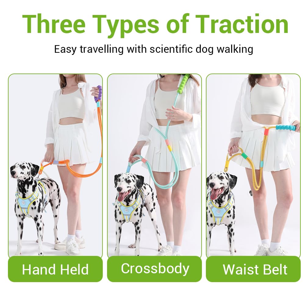 Guinzaglio A Mani Libere Per Cani – Regolabile In Vita Per Corsa E Jogging
