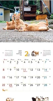 購入者限定特典付き】のんびり島にゃんCALENDAR 2026(月めくり/壁掛け 購入者限定特典付き】のんびり島にゃんCALENDAR 2026(月めくり/壁掛け