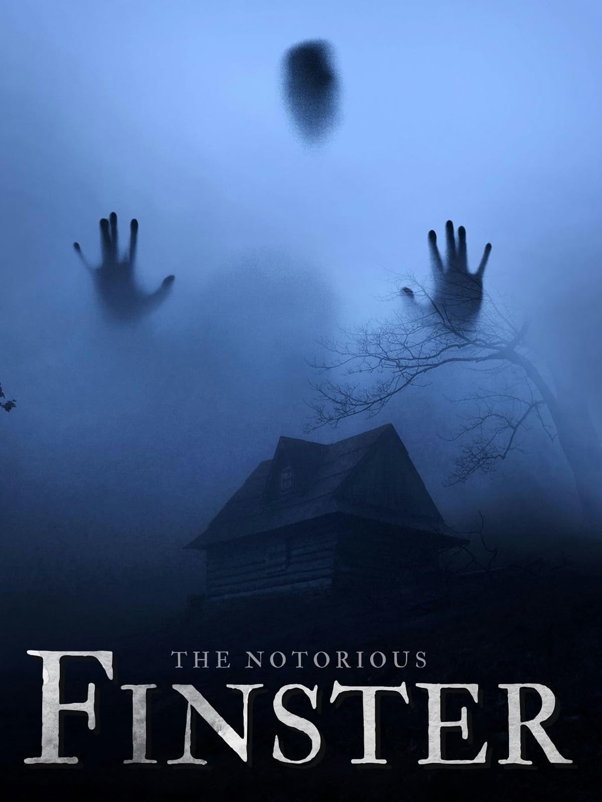 The Notorious Finster