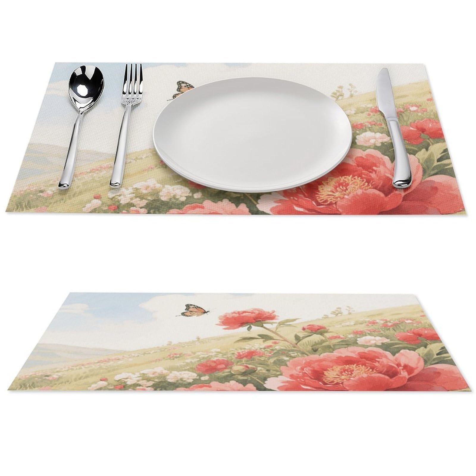Sets de table pour table de salle à manger et repas en cuisine