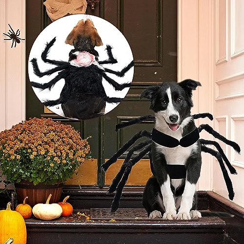 BUKYCAT Halloween-Spinnen-Kostüme für Hunde und Katzen, Spinnenkostüm für Kleine und Mittelgroße Haustiere, Tierdruck, Filzstoff, S