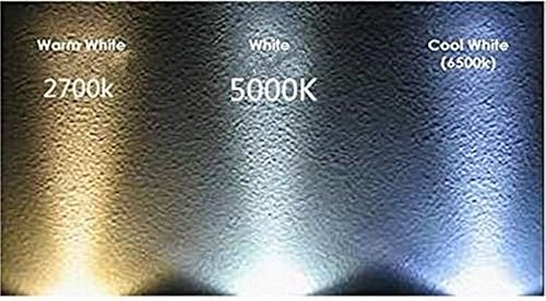 Miniatura 3 de Paquete de 10 bombillas LED BA15S de 12 V S8 SC 6 W 600 Lm 2700 K blanco cálido, base de un solo contacto de bayoneta 1156 1141 P21W, ACDC 12