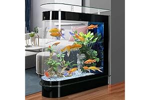 Glass Fish Tank with Lighting and Filter System