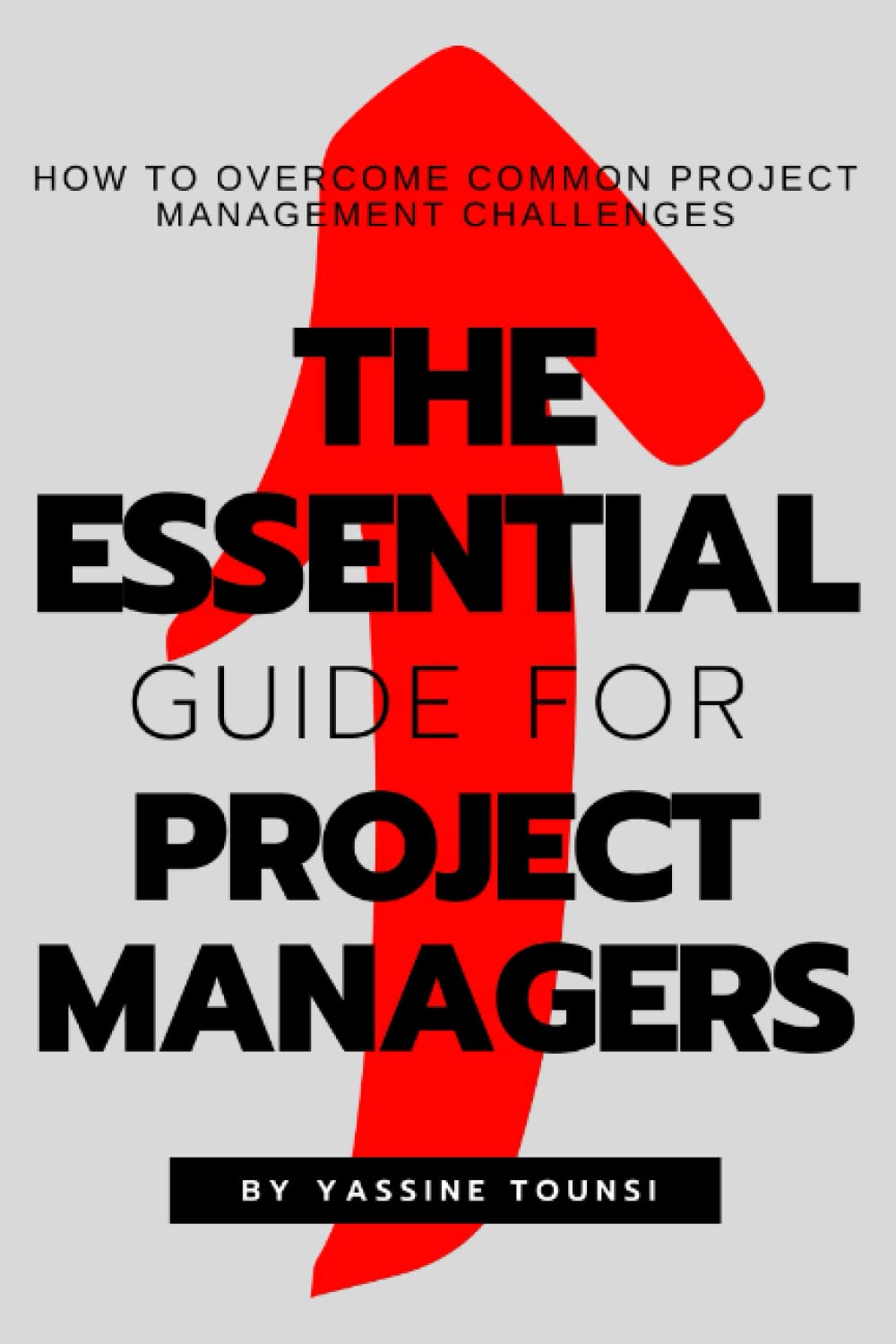 The Essential Guide for Project Managers: How to Overcome Common Project Management Challenges
