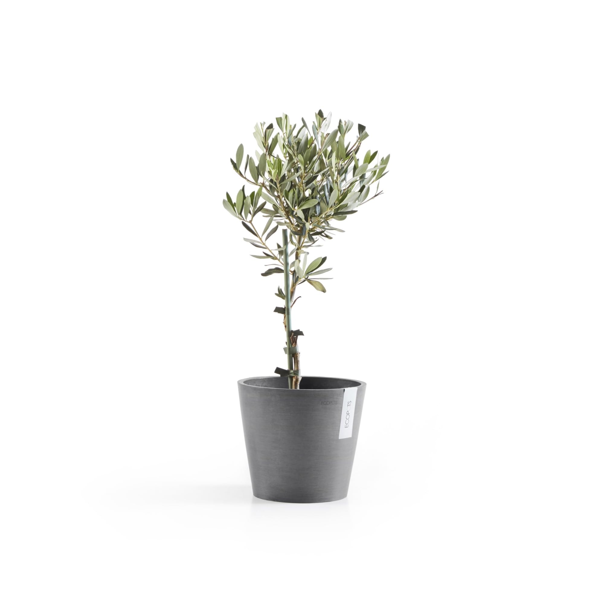 Ashortwalk ECOPOTS Oslo, Vaso Rotondo in plastica Riciclata (Diametro 35 cm x Altezza 30,5 cm) (Grigio