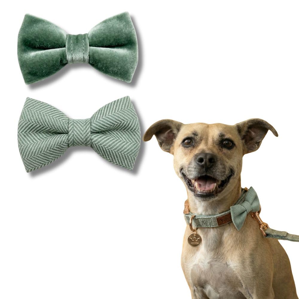 Tails Of Glory – Tweed & Velvet Dog Bow Ties – Set of 2 Elegant Dog Collar Accessories – Chic and Classic Style, Easy Elastic Attachment — image 1
