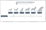 Ver la foto 7