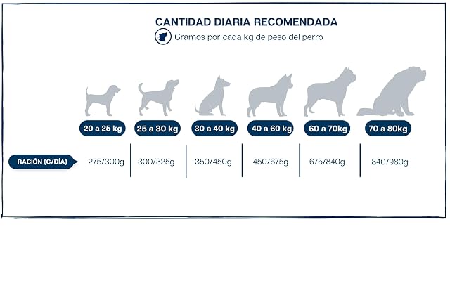 Foto 7 de 7 de Pienso para Perros Grandes sin Cereales - Completo, Natural e Hipoalergénico para Razas Gigantes, Maxi