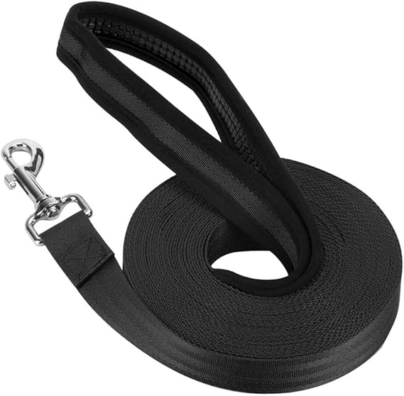 Vivifying Long Line Dog Lead, 10m/32ft Nylon Training Lead for Dogs