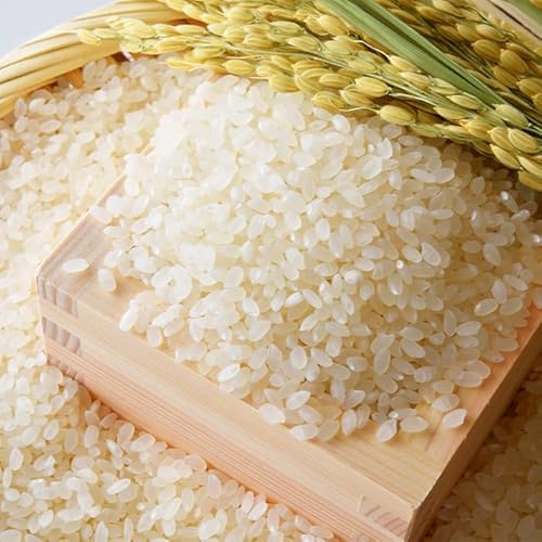 赤崎農園 鹿児島県産ひのひかり・あきほなみ食べ比べセット(各5kg・合計10kg)