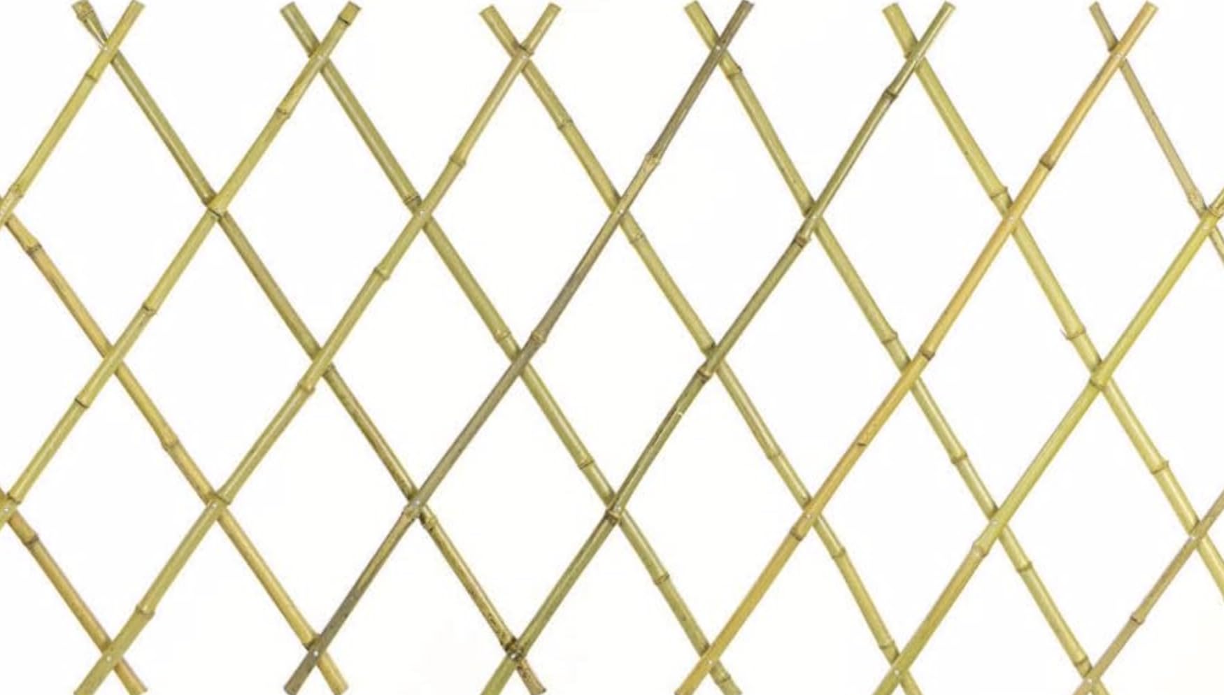 NG NICCOLAI TRALICCIO ESTENSIBILE BAMBOO VARIE MISURE (200x200 CM)