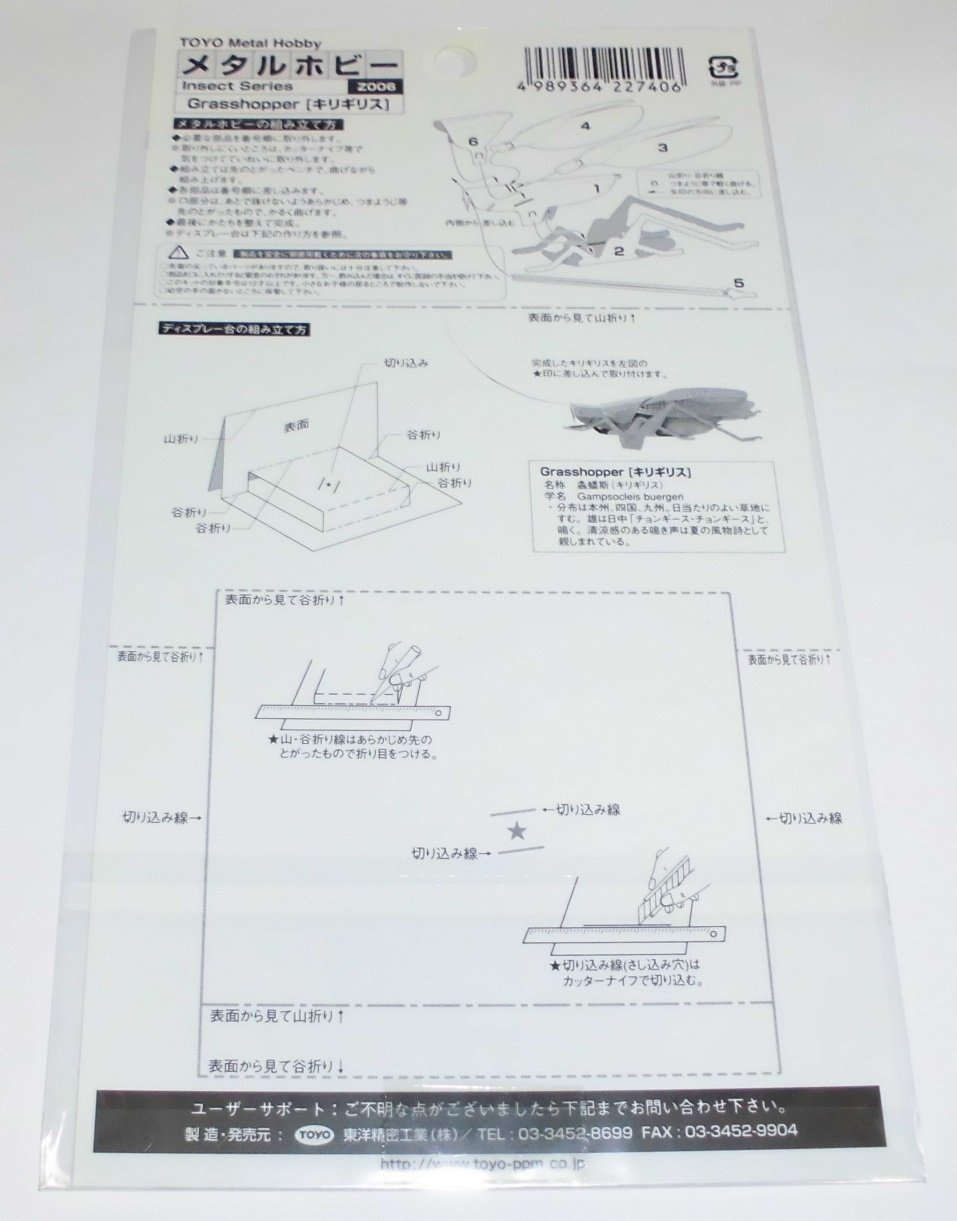 キリギリス　商品＋送料 楽天市場】キリギリス 成虫の通販