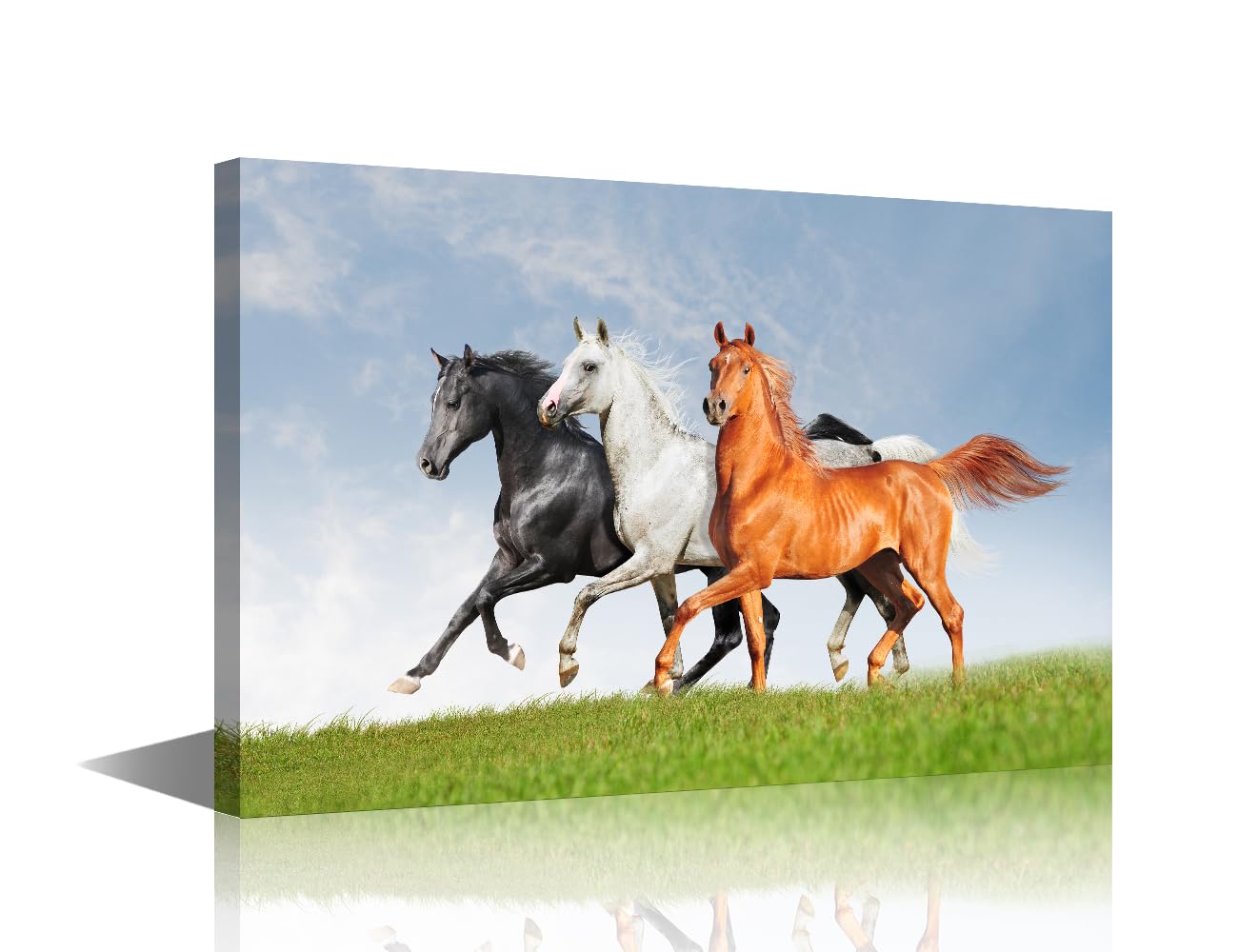 Wall art Black Horse Painting Canvas Art Wall Decor 1 Pieces white horse Natural landscape Bedroom Home Decor Canvas Wall Decor for Living Room Office Posters Prints Framed Ready to Hang 18x12 in