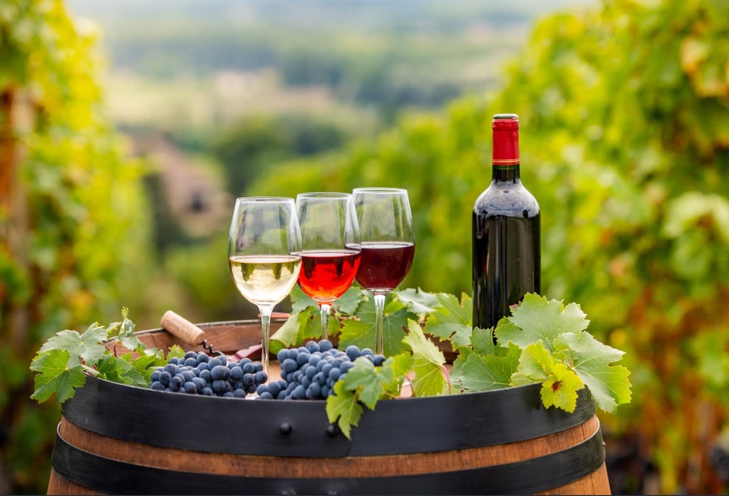 Buy SODUKU Italian Premium Wine Glass Wine Glass 400 ML Set of 4