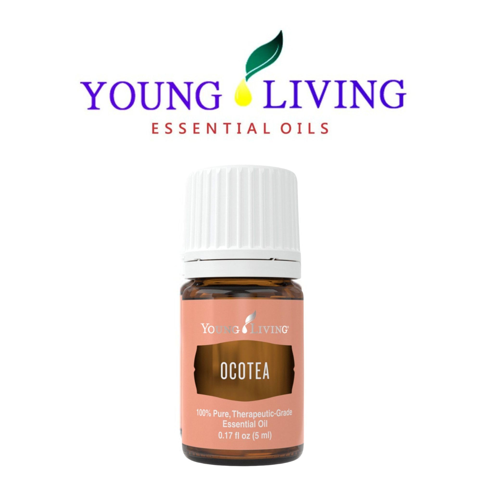Amazon.com: Young Living - Ocotea Essential Oil 5 ml | Used
