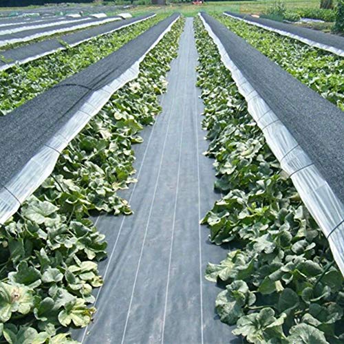 OriginA Weed Barrier Fabric 6x330ft Garden Landscape Ground Cover Weed Block Fabric Vegetable Flower Raised Bed Heavy Duty Polypropylene Material Black