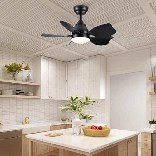Newday Ceiling Fans With Lights And Remote Control, 30 Inch Small Black Ceiling Fan, Quiet Reversible Motor, Modern Ceiling Fan For Bedroom, Living Room #TOP6