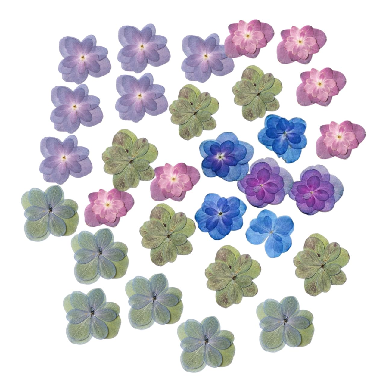 MAGICLULU 2 Ensembles Fleurs Séchées pour La Résine Mariage Décor Bouquet De Fleurs Séchées Pressé Sec Petites Fleurs pour La Résine 30 Pièces * 2