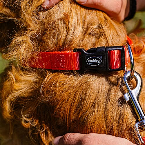 Nobby Halsband Classic, orange L: 20-35 cm, B: 10 mm, 1 Stück