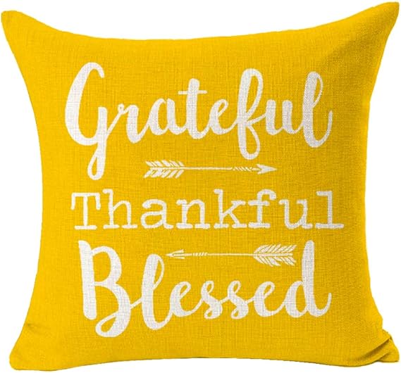 blessed throw pillows