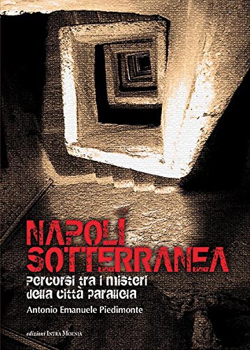 Napoli sotterranea. Percorsi tra i misteri della città parallela Napoli sotterranea. Percorsi tra i misteri della città parallela