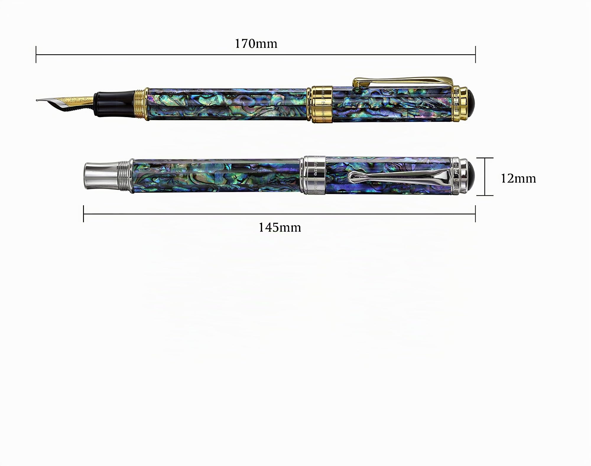 Xezo Maestro - Pluma estilográfica de punta fina de concha natural con piezas chapadas en oro de 18 quilates. No hay dos bolígrafos iguales