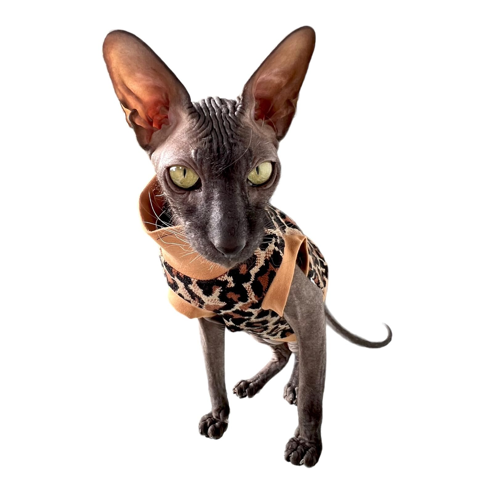 Kotomoda Cat's Cozy Comfort for Hairless Beauties: Winter Turtleneck Panther tobacco for Sphynx and Naked Cats (Large) - Image 2
