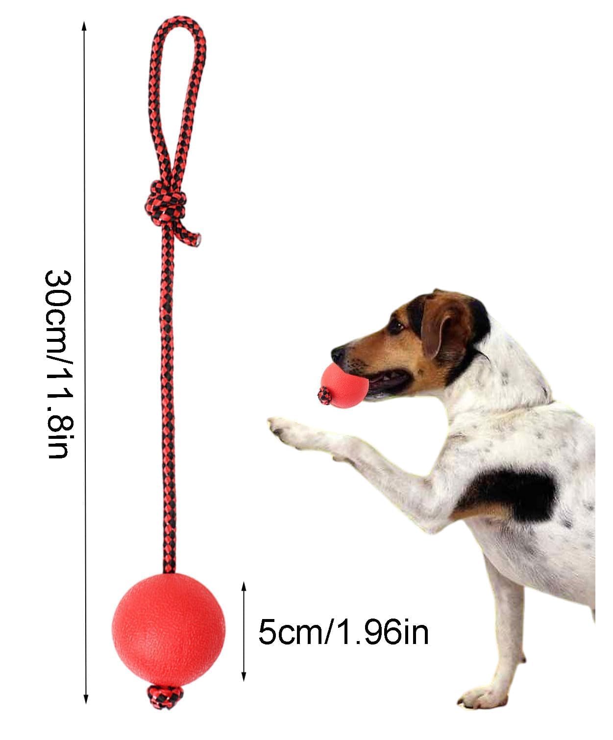 4 Pezzi PallaperCani con Corda,PallaperCane con Corda,Palla da Addestramento Cani e Catti,Pallina in Gomma Naturale,Adatto per l'addestramento e l'allevamento di animali domestici