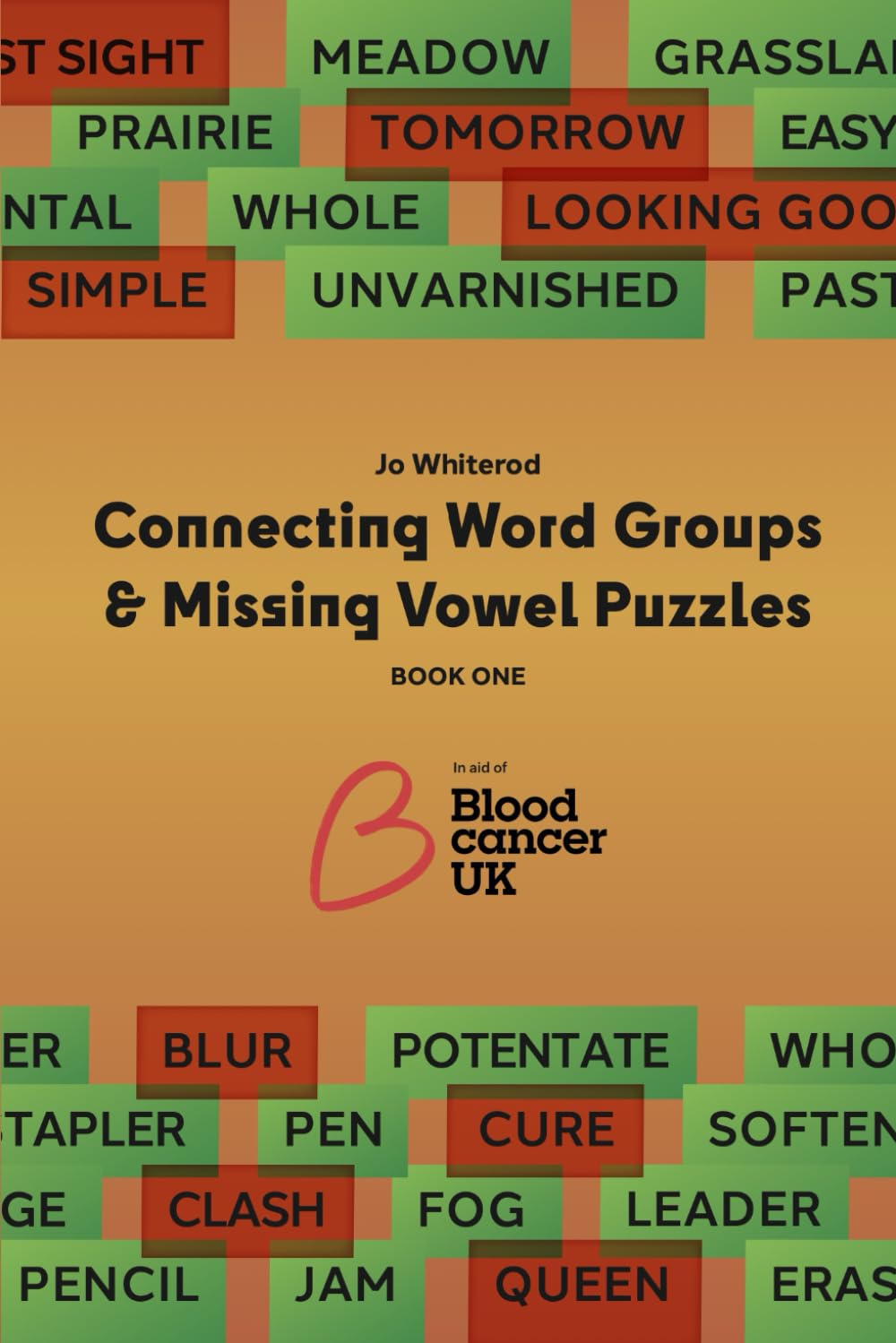 Connecting Word Groups & Missing Vowel Puzzles: Book One
