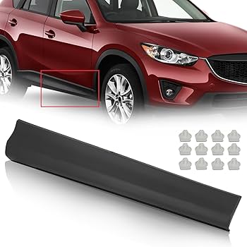 Amazon.com: KARPAL Front Passenger Side Door Molding Trim