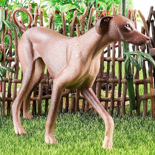 AENIMELY Realistischer Azawakh-Windhund – Feste Plastik braun-graue Windhund-Figur für Kinder, pädagogische Haustier-Dekoration, Kuchentopper & Sammler-Display