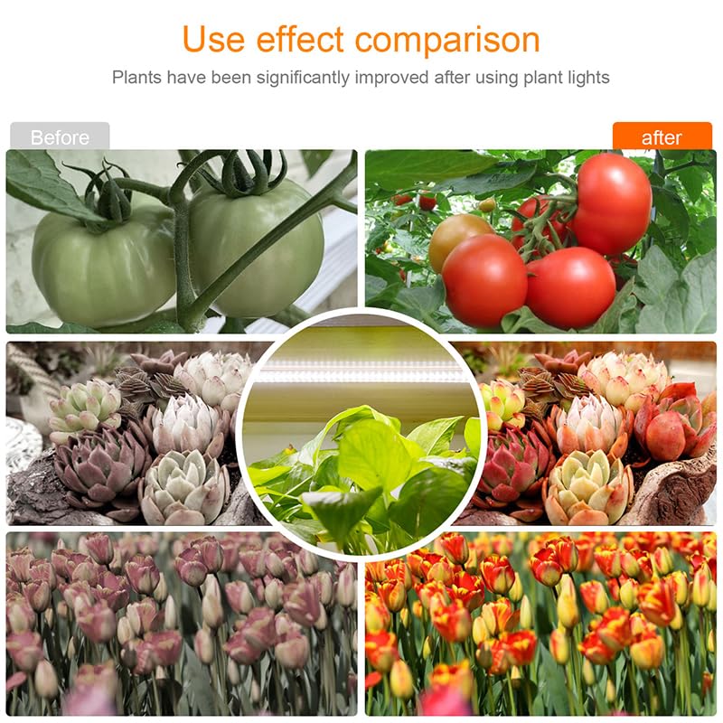 Luz LED Crecimiento, Luz Led de cultivo for interiores, lámpara Phyto con temporizador USB for plantas, lámpara LED regulable, lámparas de cultivo hidropónico de espectro completo(Grow light 4IN1)