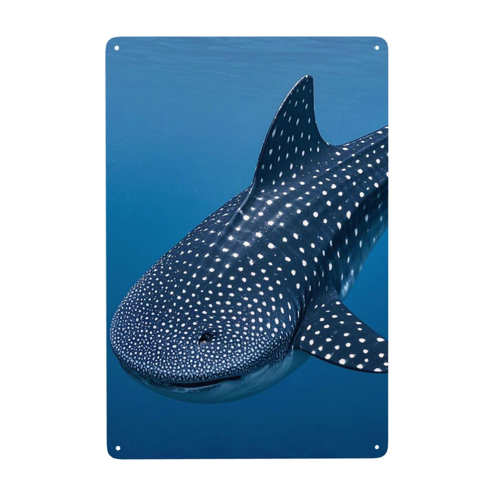 Vintage Metal Tin Signs Retro Garage Signs Stylish Wall Art Plaques for Home Decor Unique Poster 8x12 Inch Variegated Whale Shark Navy Metal Sign Outdoor Wall Decorations Gifts