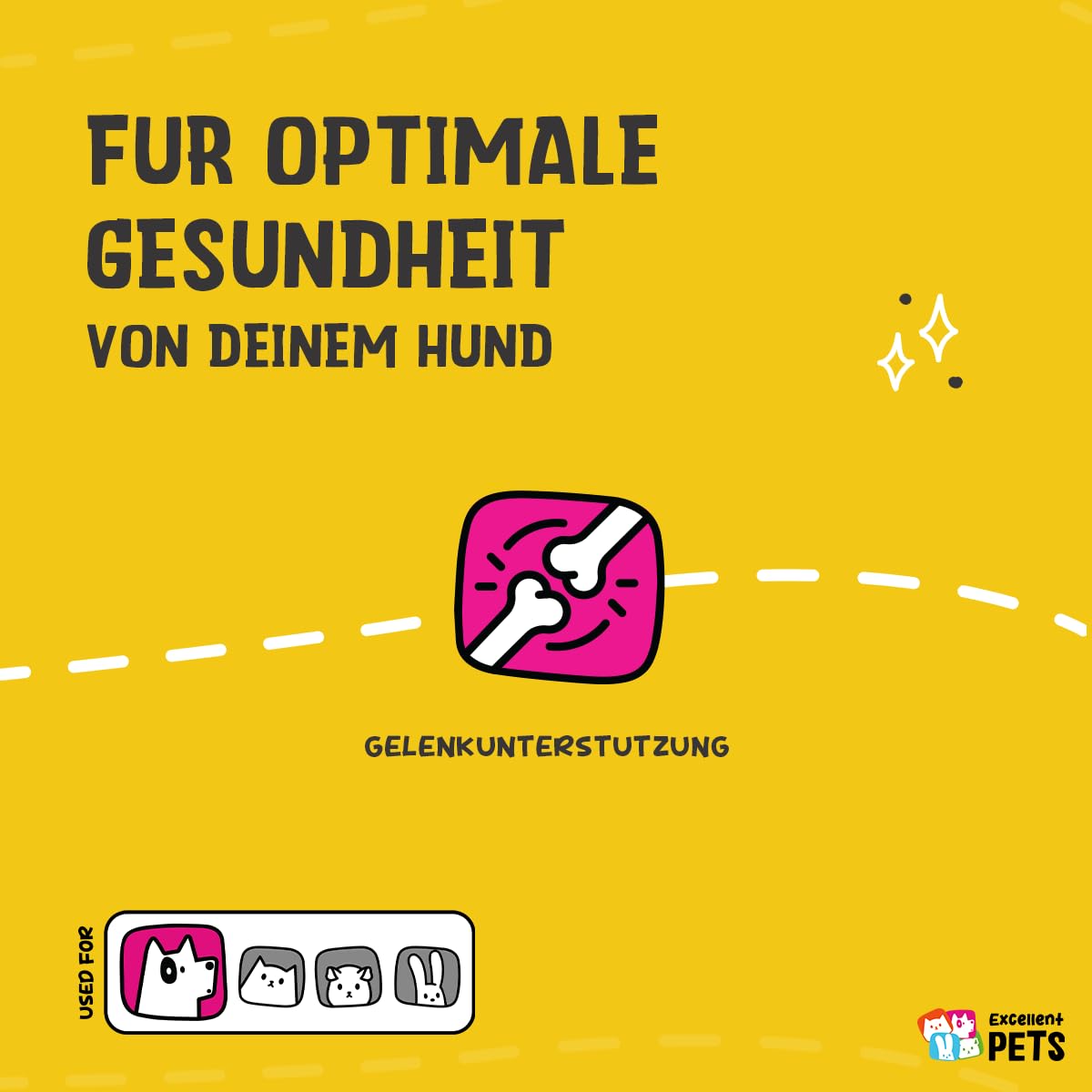 Holland Animal Care Nahrungsergänzung Dog Flex, 1er Pack (1 x 500 ml)
