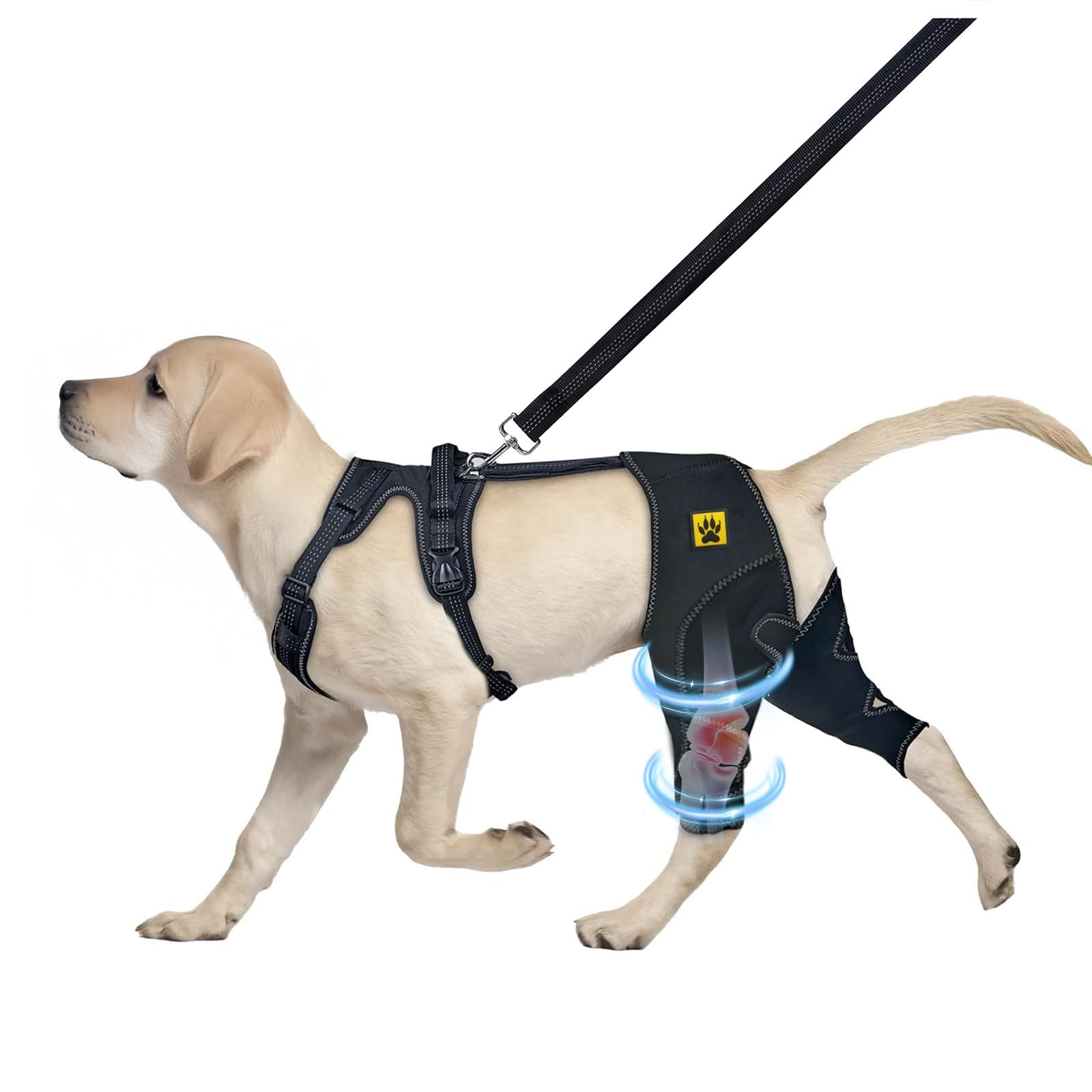 Dog Knee Brace for Cruciate ligament Dog back Hind Leg Support Protector for Torn ACL Injuries,Recovery Aid