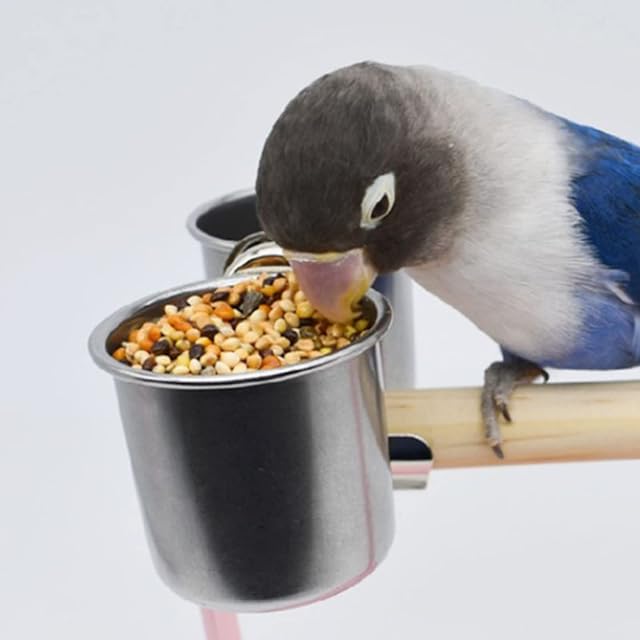 Foto 7 de 8 de Alimentador de aves tazas de alimentación de agua de alimentación de aves tazas dobles con clip de acero…