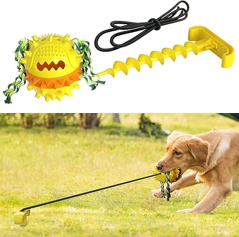 dog tether ball
