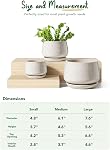 LE TAUCI Pots de plantes pour plantes d'intérieur, ensemble de 3, 4+5+6.5 Pots de céramique avec trou de drainage & Sauceur, Pot de fleurs intérieur avec Pad de Mesh, Pot Plante Interieur, Glace Réactive Beige