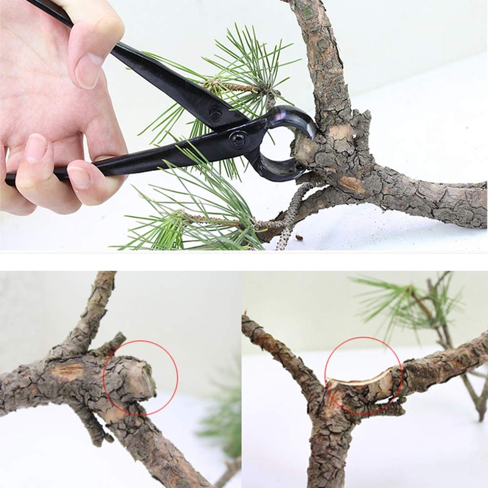 MBLUE Professionale Giardino Ramo Cutter 210mm Manganese Lega di Acciaio Bordo Rotondo Bonsai Strumento di Taglio Principiante Ramo Albero Strumento trim