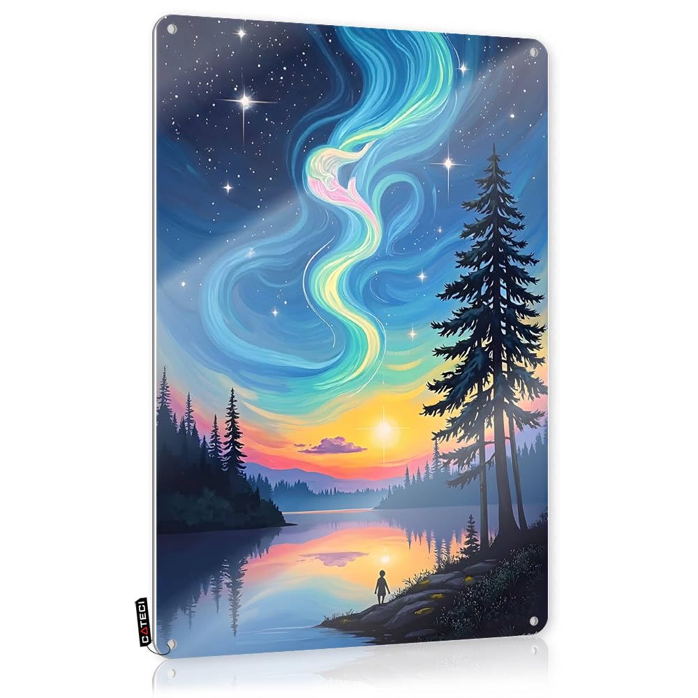 Fzfn Colour Metal Wall Decoration Handcrafted Country Home Decor - Starry Night Serenity: A Person Gazing At The Aurora Borealis Over A Lake Soft Area Rustic Style Artwork For Basement Bar(20X30cm)
