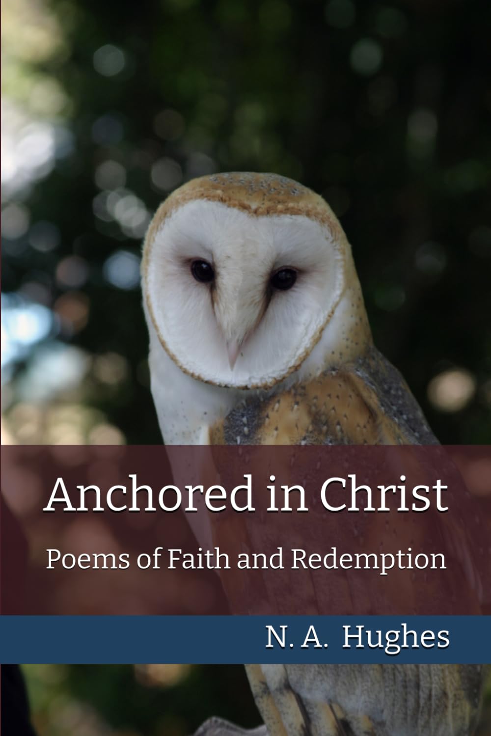Anchored in Christ: Poems of Faith and Redemption