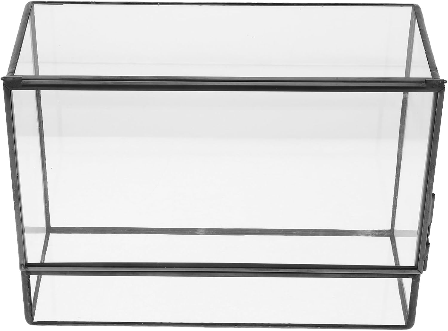 Eco Desktop Landscaping Tank Self-Sustaining Ecosystem Planter Terrariums Moss Glass Terrariums for Plants