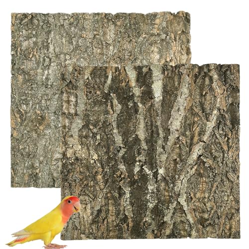 Allazone Perche en Liège Naturel, Fond en Écorce De Liège pour Terrarium Décor, Jouet D'écorce en Liège pour Oiseaux Tortue Lézard (Couleur Bois, 30 x...