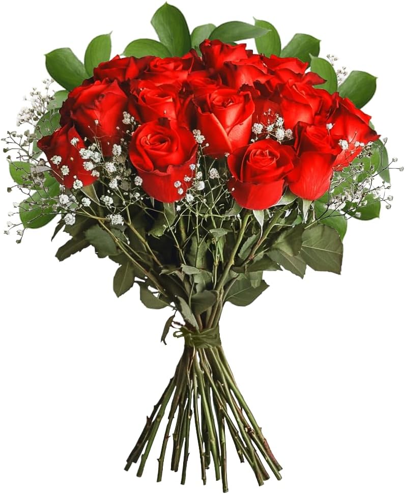 GlobalRose Fresh Dozen Red Roses & Fillers - Fresh Flowers Bouquet for Valentine's Day