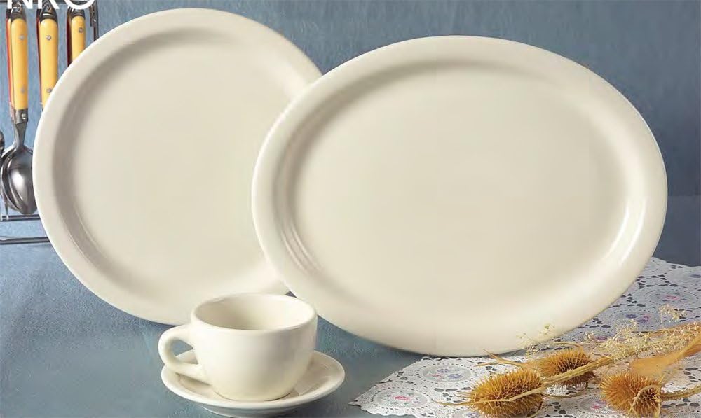 CAC China NRC-16 Narrow Rim 10-1/2-Inch American White Stoneware Plate, Box of 12