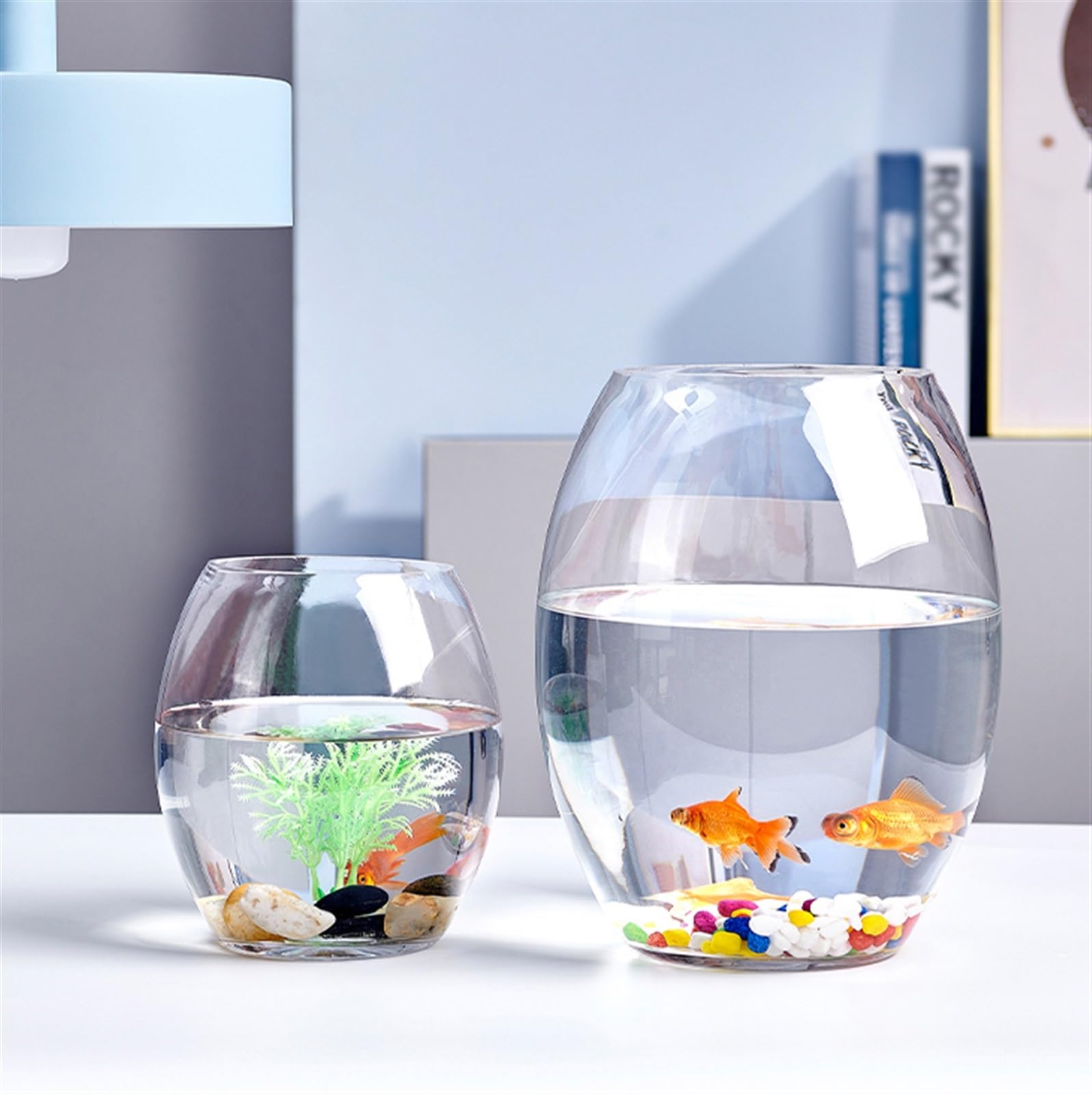 Environmental and economic factors