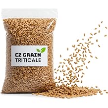 Triticale Seeds for Planting 25 Pounds