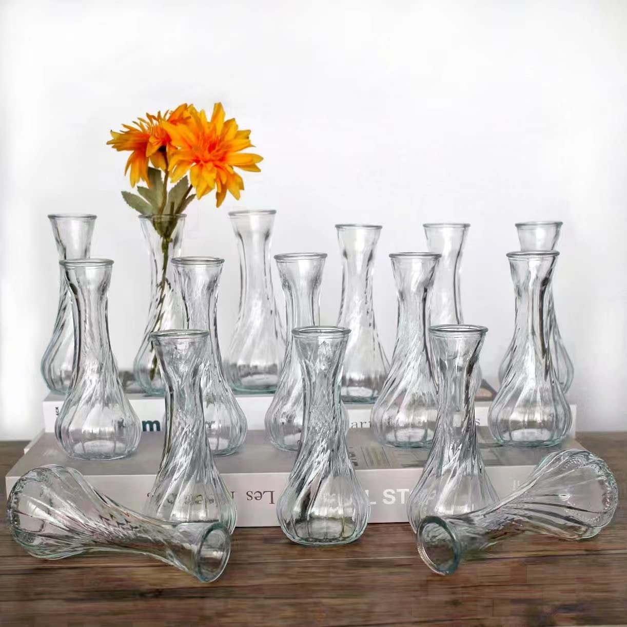 Sandraheer Glass Bud Vases in Bulk Set of 16, Small Glass Vases for