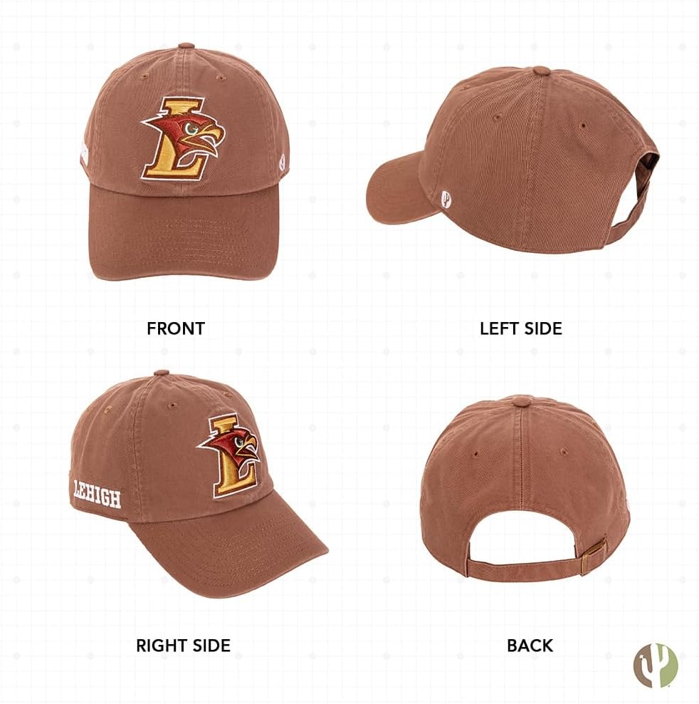 Desert Cactus Lehigh University Baseball Hat Mountain Hawks Brimmed Embroidered Hats Cap Adjustable Cloth Strap Adult - Image 3