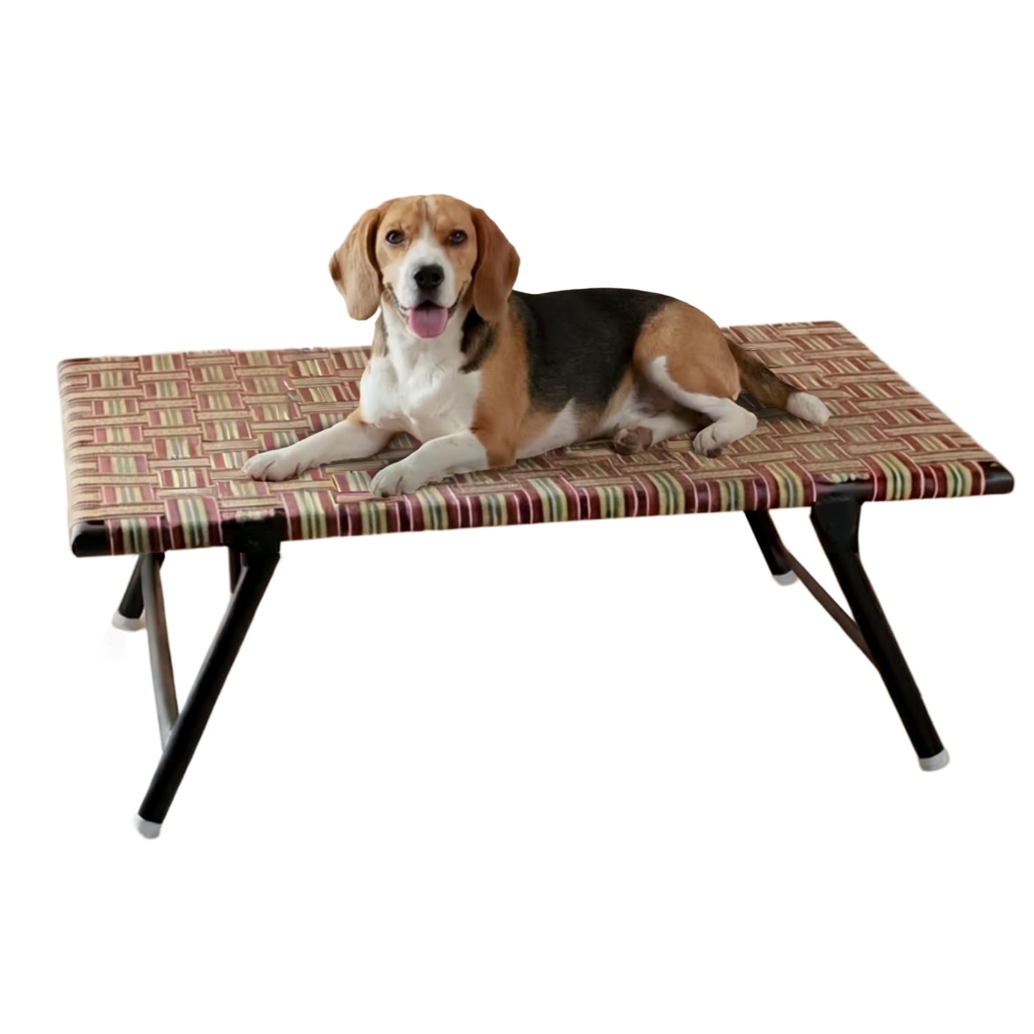 Amazon Basics Leg Fold Dog Pet Bed | Nylon Niwar Durable | 24 × 36 × 12 Inch | Multi-Color - Review, Price and Buying Guide